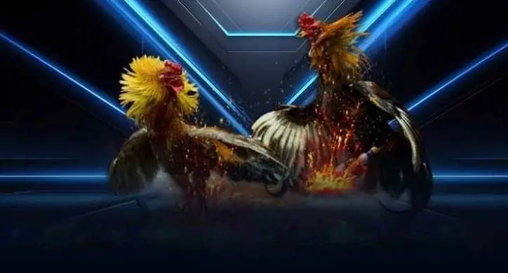 Chọn Bet168 Cho Trải Nghiệm Cá Cược Đá Gà?