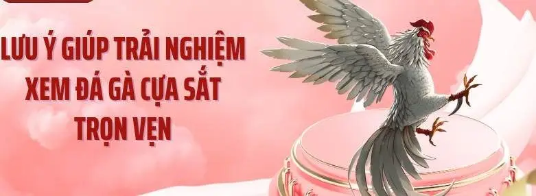 Lợi Ích Khi Tham Gia Đá Gà Trên Bet168