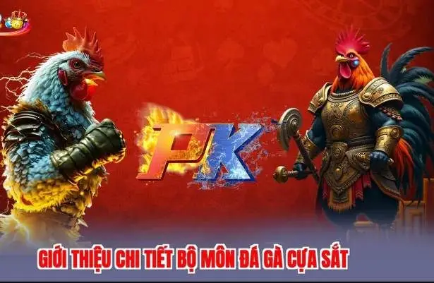 Cách Tham Gia Cá Cược Đá Gà Trên Bet168